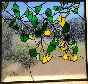 Ginkos Stained Glass